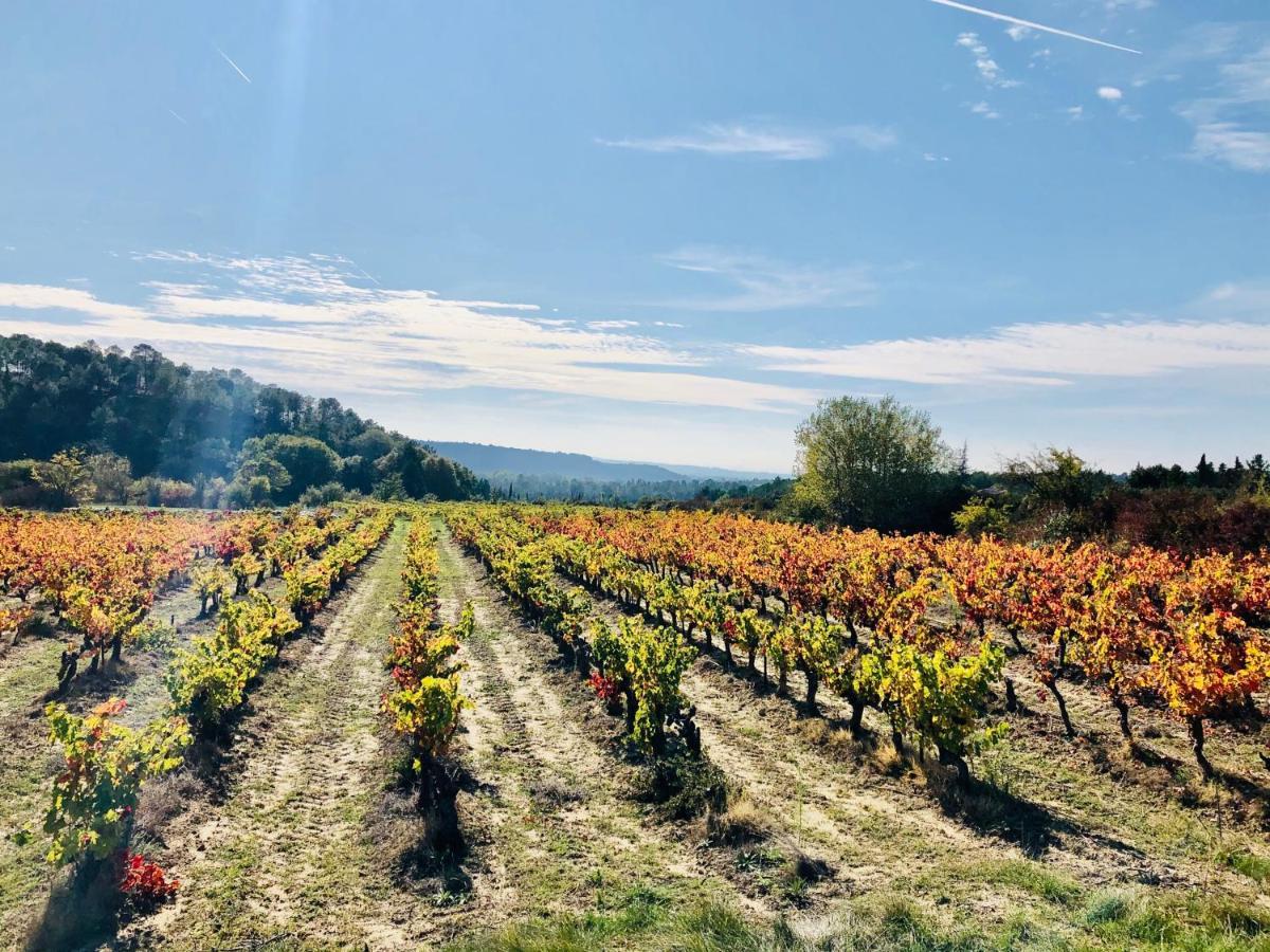 La Maison D Ame - For The Perfect Stay At The Mont Ventoux Malaucene Bagian luar foto