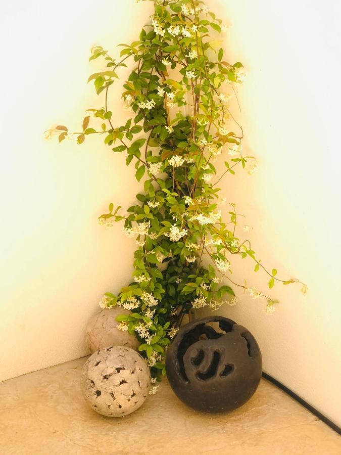 La Maison D Ame - For The Perfect Stay At The Mont Ventoux Malaucene Bagian luar foto