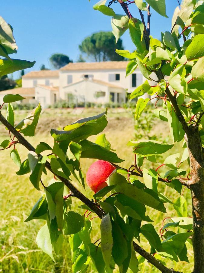 La Maison D Ame - For The Perfect Stay At The Mont Ventoux Malaucene Bagian luar foto